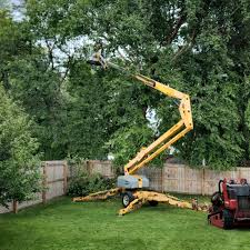 Best Utility Line Clearance  in Wayne, WV