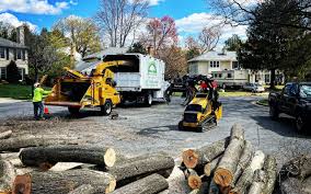 Best Tree Health Inspection  in Wayne, WV